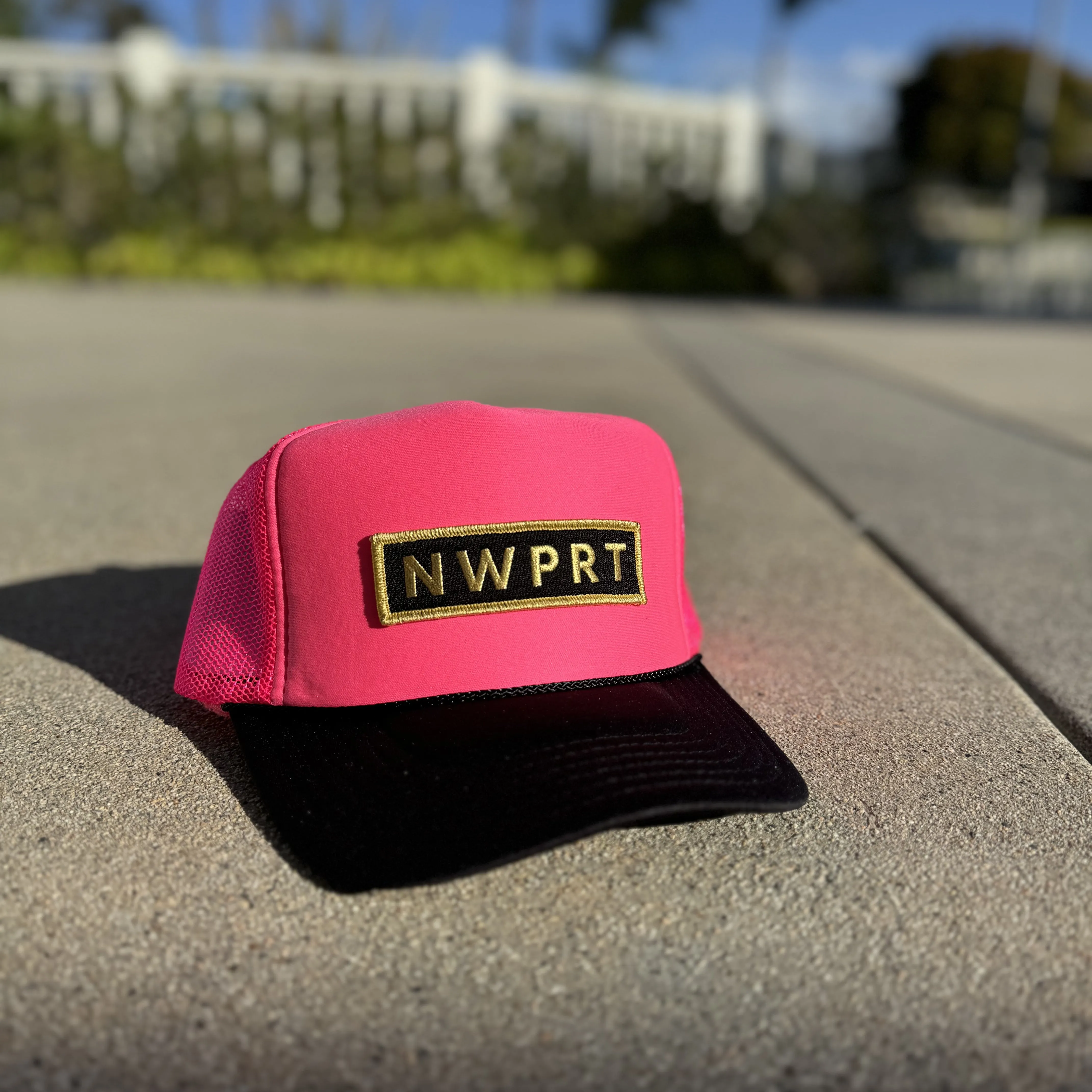 D NWPRT Hat (variety of colors available)