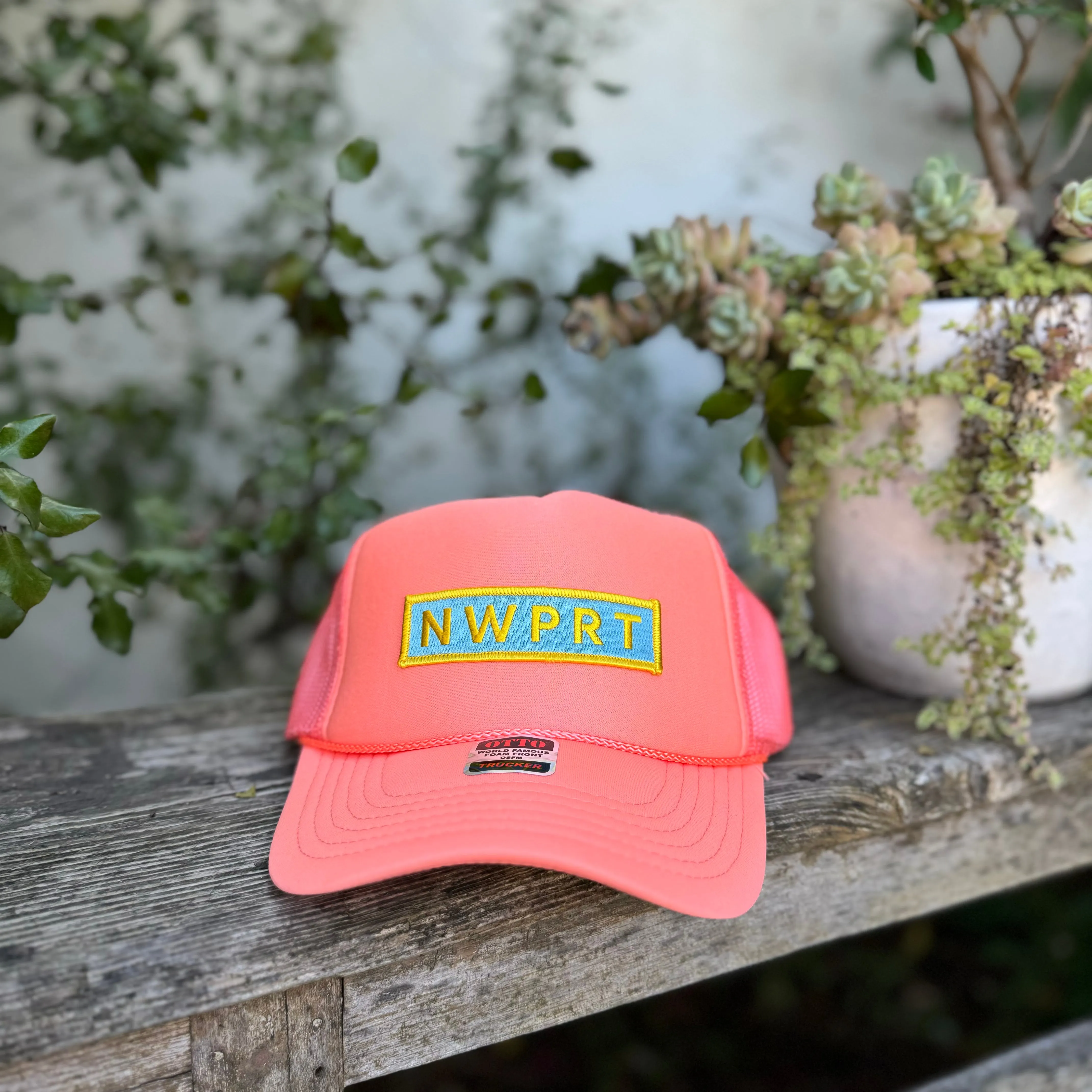 D NWPRT Hat (variety of colors available)
