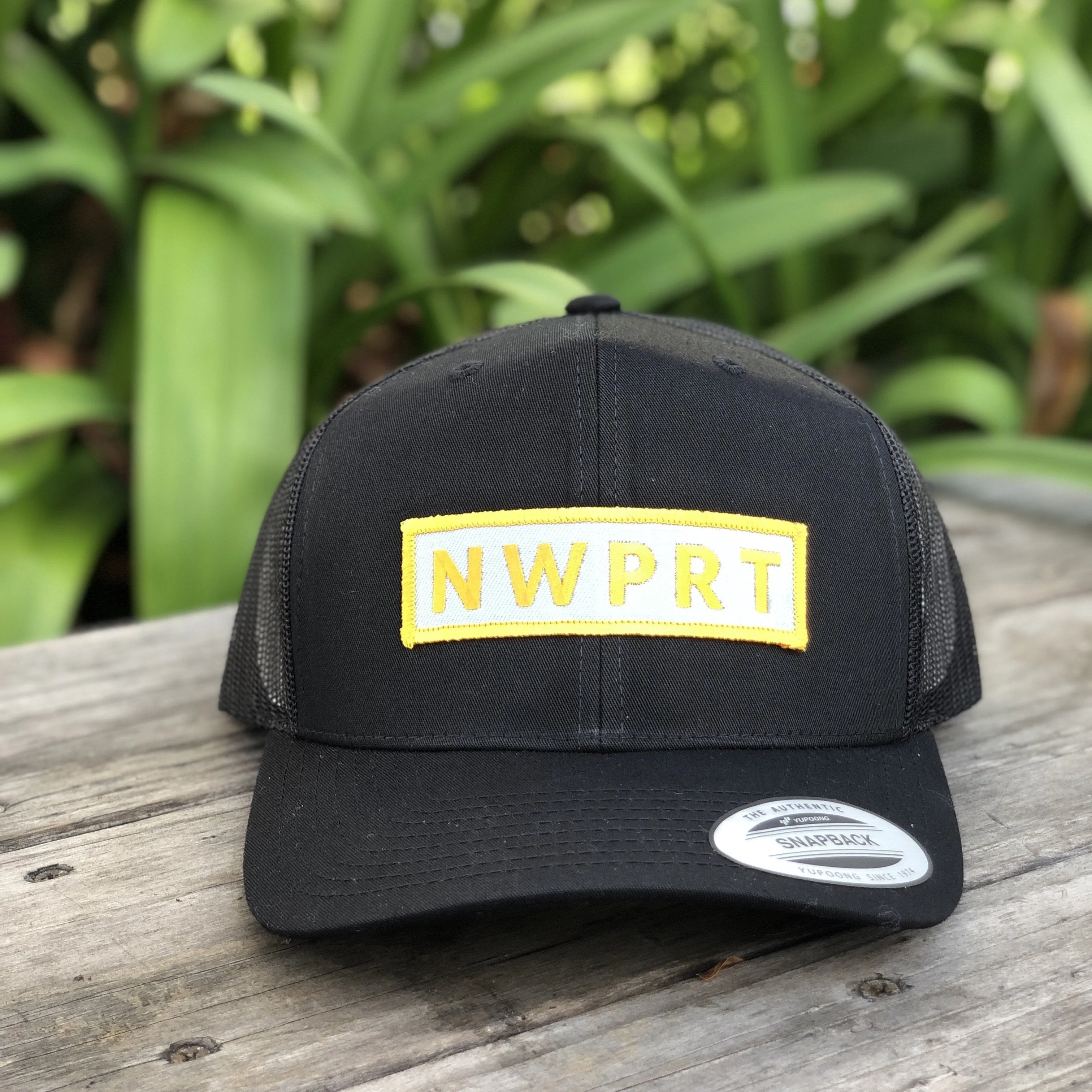 D NWPRT Hat (variety of colors available)